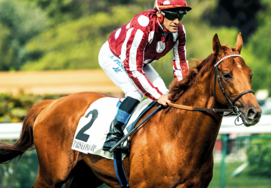dezcourse || dezcourse couplé